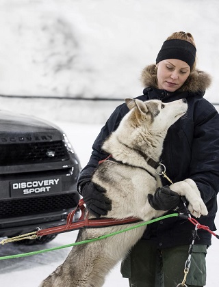ICE QUEEN: Finnish sled-dog race champion Laura Kääriäinen encourages her lead husky before the race. Image: Jaguar Land Rover